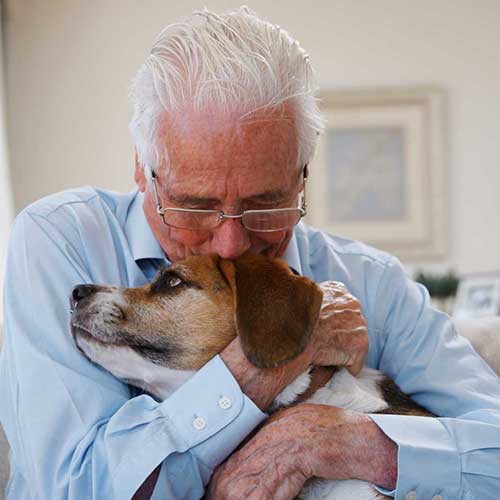 elderly man at home hugging dog